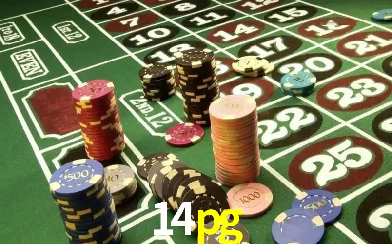 14pg 公平游戏